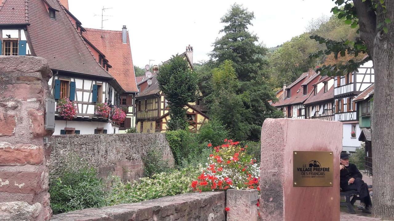 Le Gite Cosy Kaysersberg-Vignoble Esterno foto
